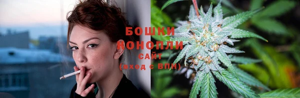 гашик Сафоново