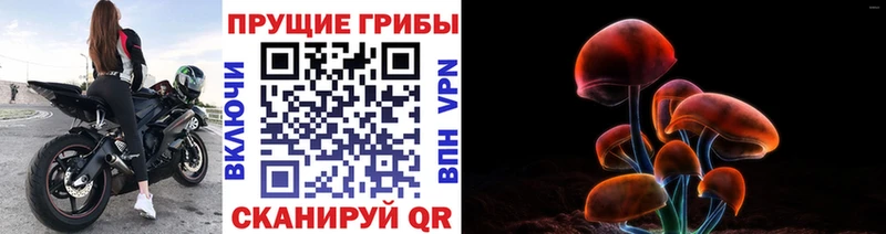 Галлюциногенные грибы прущие грибы  Коммунар 